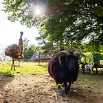 Pod Ostrym Vrchom Vendégház 3*