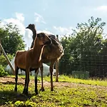 Pod Ostrym Vrchom Vendégház Cobolyfalu