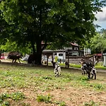 Pod Ostrym Vrchom