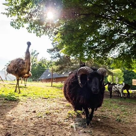 Pod Ostrym Vrchom Casa de hóspedes 3*