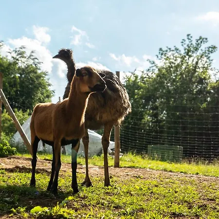 Pod Ostrym Vrchom Πανσιόν Soblahov