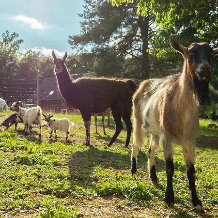 Pod Ostrym Vrchom Casa de hóspedes